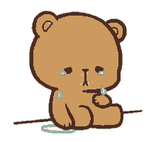 bear sad
