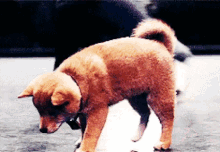 scratch