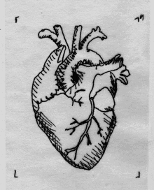 Heart Hand GIF - Heart Hand I Will Hold Your Heart GIFs
