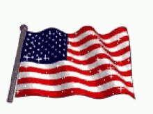 American Flag GIFs | Tenor