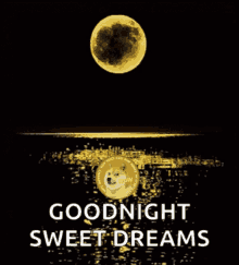doge calishibe714 gn good good night doge calishibe714 gn good good night