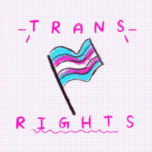 Trans Transgender GIF - Trans Transgender Trans Rights GIFs