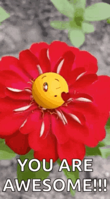 emoji flowers you are awesome flower smile