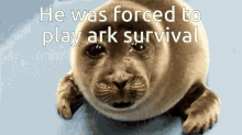 He Was Forced To Play Ark GIF - He Was Forced To Play Ark GIFs