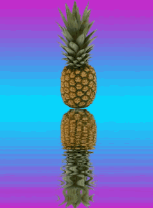 Pineapple Asthetic GIF - Pineapple Asthetic Reflect GIFs