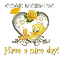 Good Morning Tweety Bird GIF - Good Morning Morning Tweety Bird GIFs