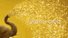 Hold Is GIF - Hold Is Gold GIFs