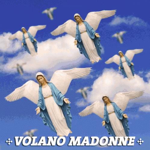 Volano Madonne Fly GIF - Volano Madonne Fly Madonnas - Discover &amp; Share GIFs