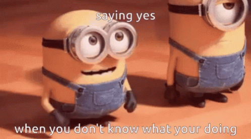 Yes Now What Are We Doing Minions Gif Yes Now What Are We Doing Minions Excited Discover Share Gifs