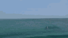 Dolphin Jump GIF - Dolphin Jump Leap GIFs