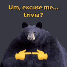 Trivia Bear GIF - Trivia Bear Hank The Tank GIFs