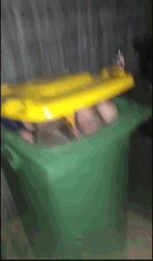 unikorbz ponski bin unicorn durry unikorbz ponski bin unicorn durry