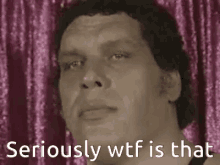 Wtf Seriously GIF - Wtf Seriously Andre The Giant GIFs