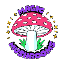 mushrooms inititative