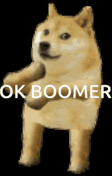 ok boomer doge doge dancing dog dance