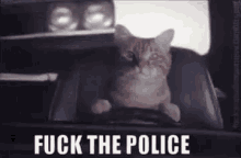 Police Cat GIF - Police Cat Lolcats GIFs