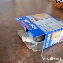 Go From Box To Box Viralhog GIF - Go From Box To Box Viralhog Dont Know Where To Stay GIFs