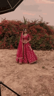 Bride Indian Bride GIF - Bride Indian Bride Photoshoot - Discover & Share  GIFs