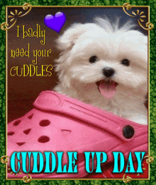 Cuddle Up Day I Badly Need Your Cuddles GIF - Cuddle Up Day I Badly Need Your Cuddles January6th GIFs