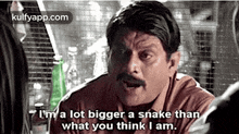 I'M A Lot Bigger A Snake Thanwhat You Think I Am..Gif GIF - I'M A Lot Bigger A Snake Thanwhat You Think I Am. Elsamma Enna-aankutty Snake GIFs