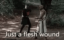 Monty Python And The Holy Grail Just A Flesh Wound GIF - Monty Python And The Holy Grail Just A Flesh Wound Kicked GIFs