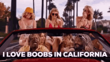 Boobs In California Titus GIF - Boobs In California Titus Titus Andromedon GIFs