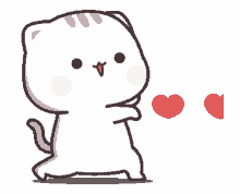 hearts love ilu cute cat