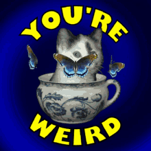 Youre Weird Weirdo GIF - Youre Weird Weirdo You Are Weird GIFs