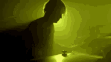 ros sigur