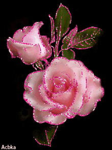 Flowers Pink Roses GIF - Flowers Pink Roses For You GIFs