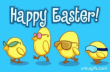 cool chicks easter cute happy easter greetings