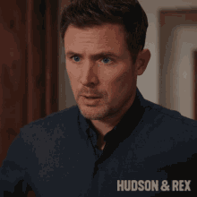 Disappointed Charlie Hudson GIF - Disappointed Charlie Hudson Hudson And Rex GIFs