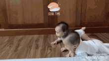 shishi crawl