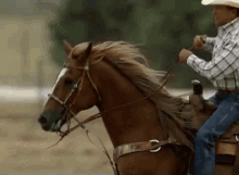 horseback riding cowboy caballero troubadour george strait horseback riding cowboy caballero troubadour george strait