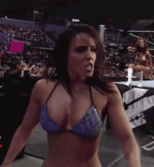 wwe-layla-bikini.gif