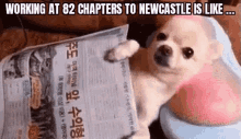 82nc 82chapters GIF - 82nc 82chapters Whiskybusiness GIFs