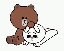 Brown And Cony Comfort GIF - Brown And Cony Comfort There There GIFs