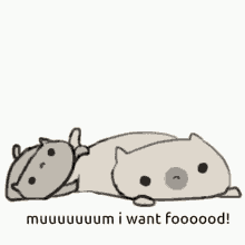 Mum I Want Food Cat GIF - Mum I Want Food Cat Aww GIFs