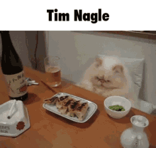 Cat Tim Nagle GIF - Cat Tim Nagle Food GIFs