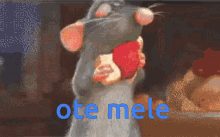 Ote Mele Oatmeal GIF - Ote Mele Oatmeal Oat GIFs