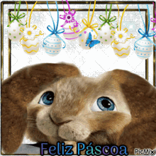 Feliz Páscoa Happy Easter GIF - Feliz Páscoa Happy Easter Bunny GIFs