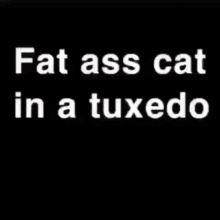 Fat Fat Cat GIF - Fat Fat Cat Tuxedo GIFs