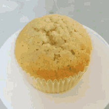 Cupcake Icing GIF - Cupcake Icing Cupcake Day GIFs