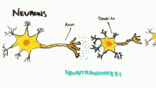 Ceo Science GIF - Ceo Science Neurons GIFs