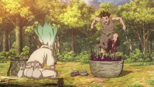 dr stone