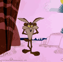 wile coyote