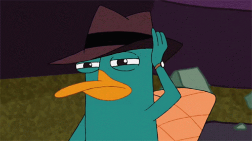 Perry The Platypus GIFs | Tenor