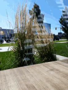 Windy Trees GIF - Windy Trees Grass GIFs