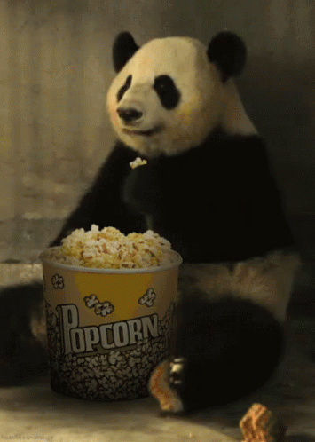 panda-popcorn.gif