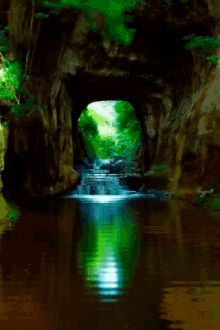 Cave Water GIF - Cave Water Tunnel GIFs